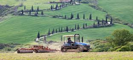 اتحاد الزراعيين الإيطاليين يعلن تضرر المحاصيل بسبب